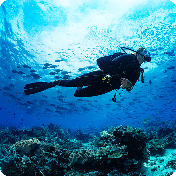 Femme faisant de la plongée sous-marine